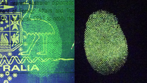 Comparison of fingerprinting techniques in visible light, illuminated with UV and the afterglow having turned off the UV; Phosphorescent fingerprinting (left) and traditional fluorescent fingerprinting (right). Credit: William Gee