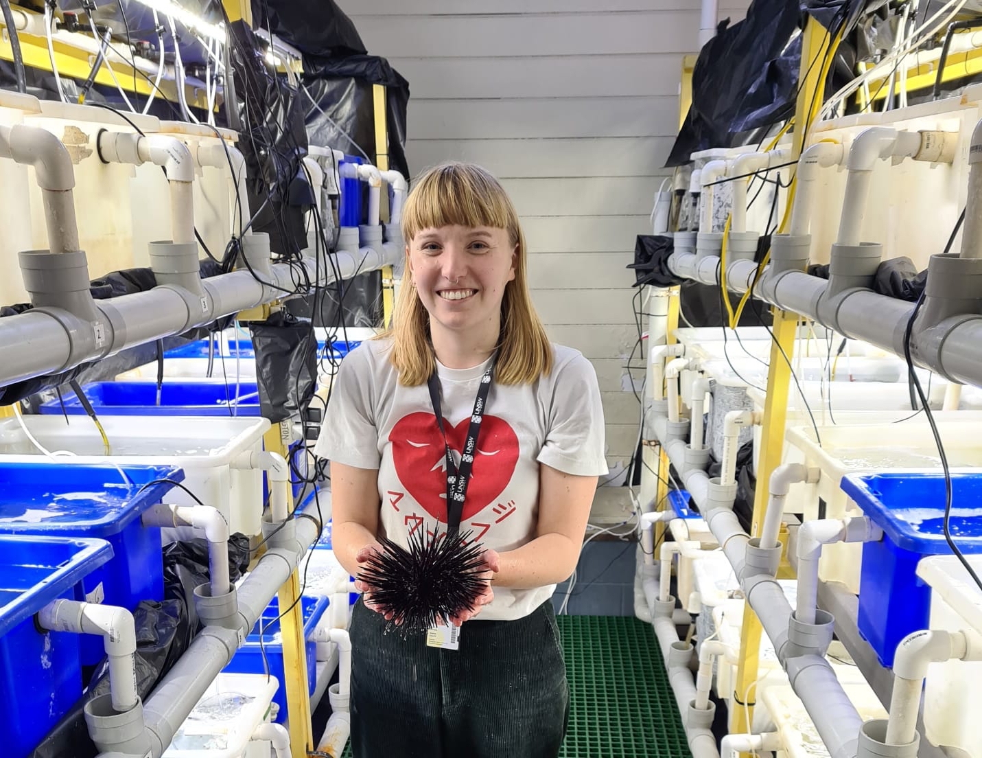 Credit: Milly Caley - Milly Caley with the experimental set up at the Sydney Institute of Marine Science, Sydney, Australia