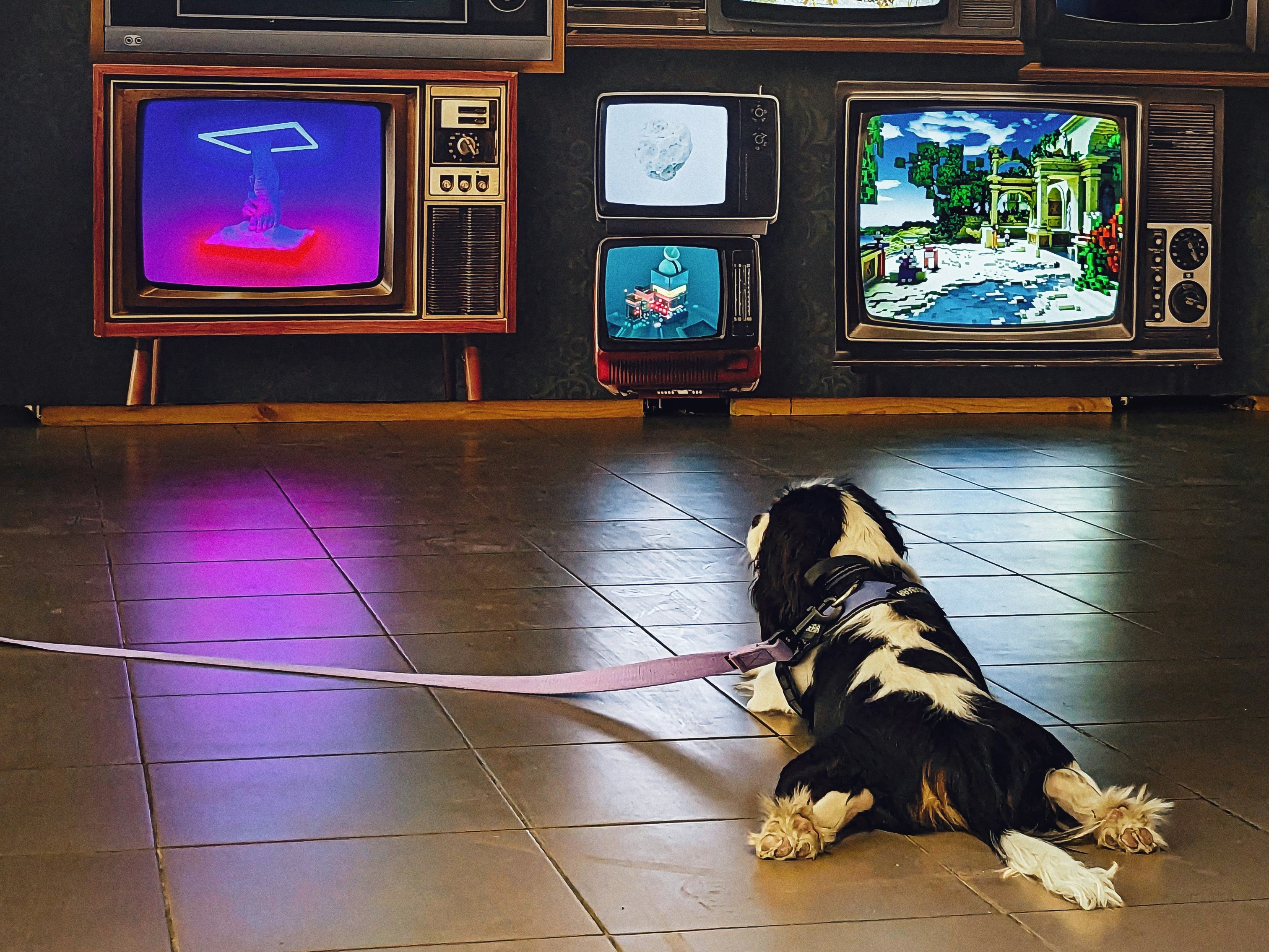 Photo by Vadim Babenko via Unsplash