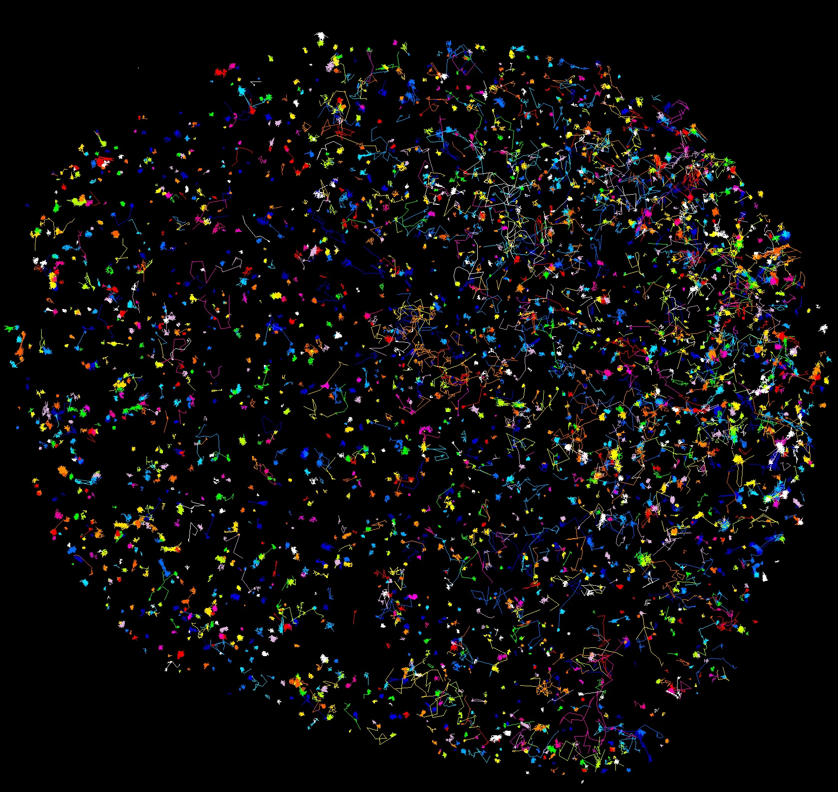Single Molecule Tracks. Credit:  Peter MacCallum Cancer Centre