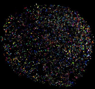 Melbourne scientists are teasing out how the 'Hippo pathway' works at the molecular level, improving understanding of how it exerts control and its potential as a much-needed treatment for the deadly cancer mesothelioma. They have filmed, for the very first time, microscopy vision showing the activity of a group of DNA-binding proteins - called TEADs and YAP - which are integral to how the Hippo pathway works. Professor Kieran Harvey explains the Hippo pathway arose in living beings more than a billion years ago and today it works the same across diverse species from single-celled organisms to mammals, including humans.