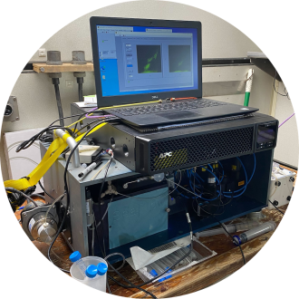 Analysing surface seawater to track phytoplankton