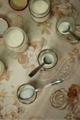 Researchers tasting ant yogurt
