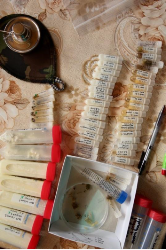 Sample collected from ant yogurt fieldwork in Bulgaria