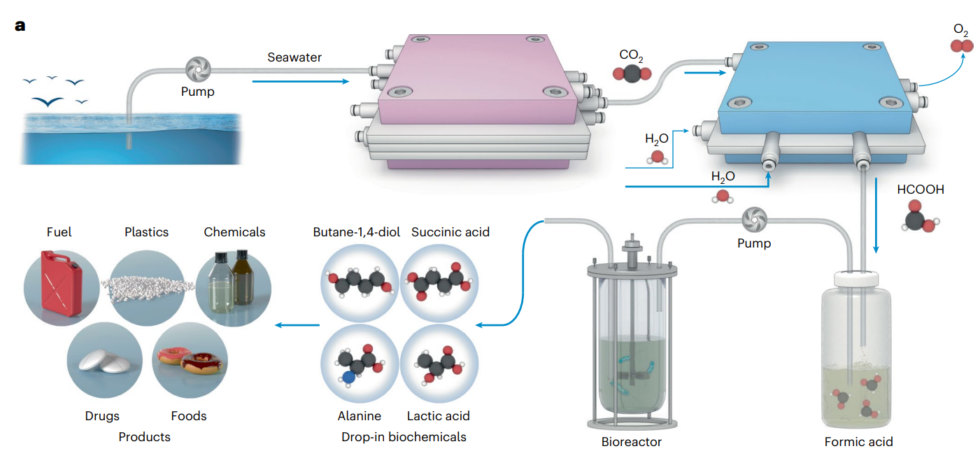 Chengbo Li et al., Nature Catalysis.