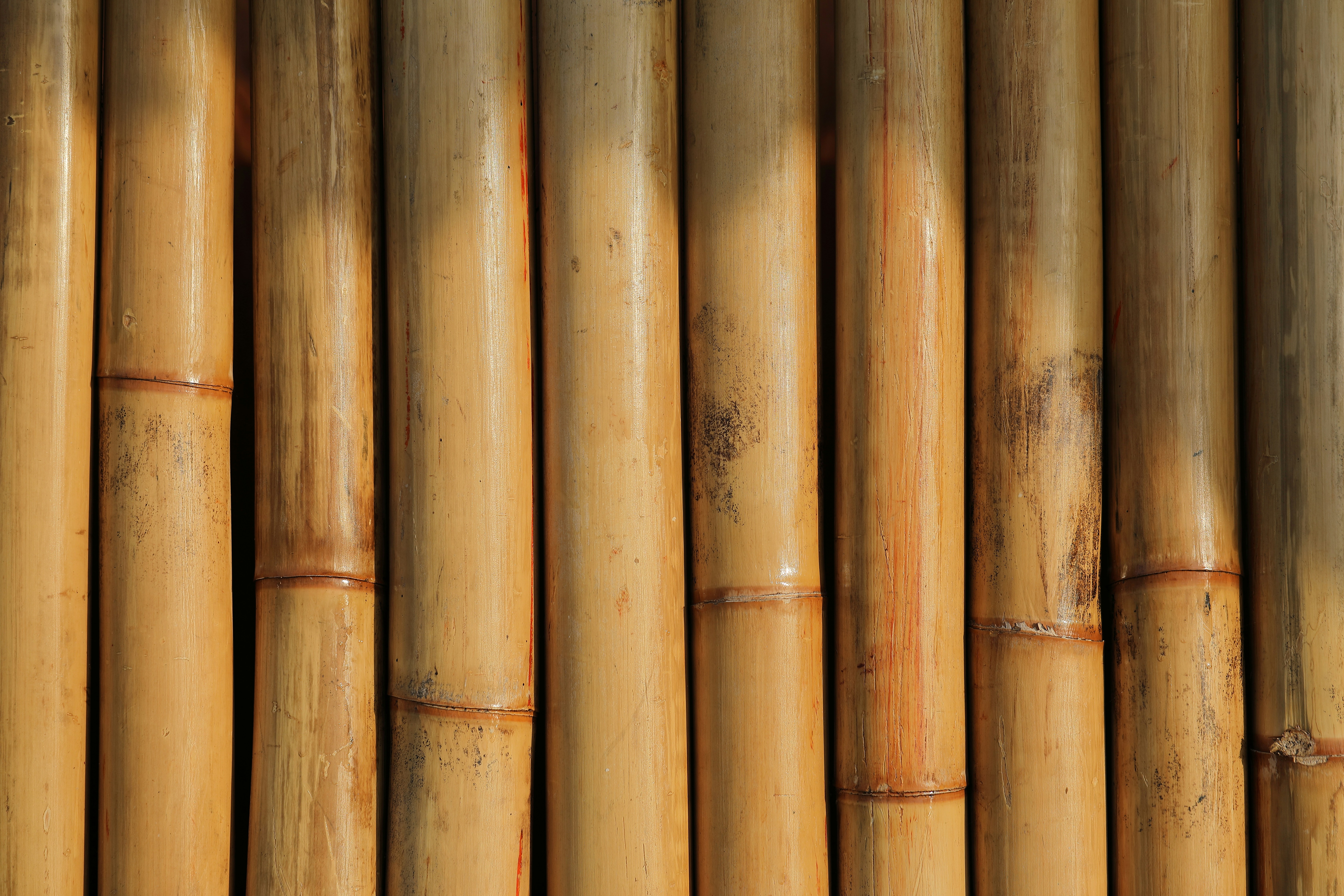 Photo by Maksim Shutov on Unsplash