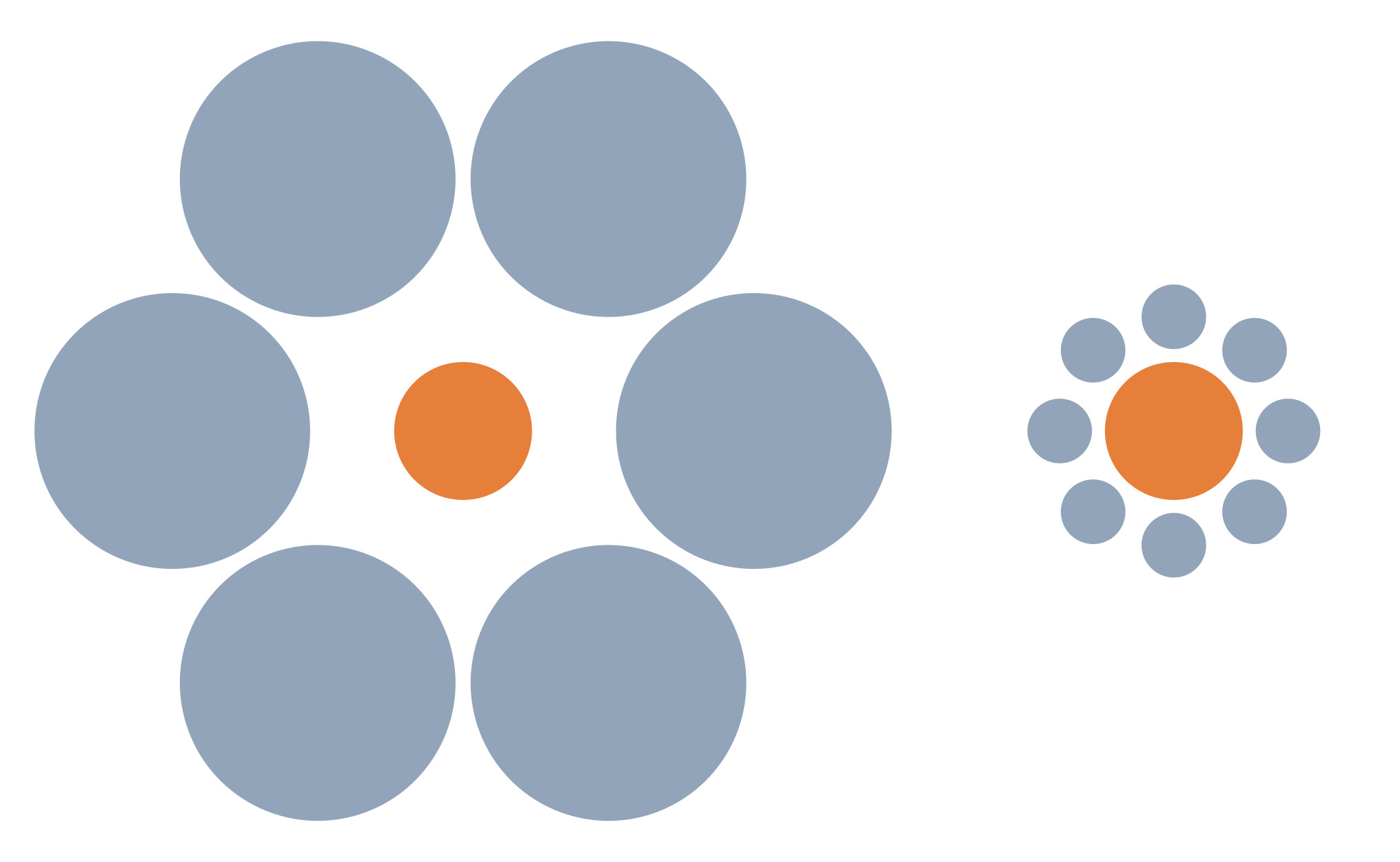 The Ebbinghaus Illusion. CREDIT: Santacà, et al. (2025)
