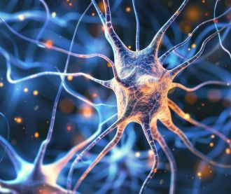 New research finds that common nervous system components are present in the gastrointestinal tract where they influence tumour growth, revealing untapped opportunities for cancer treatment.