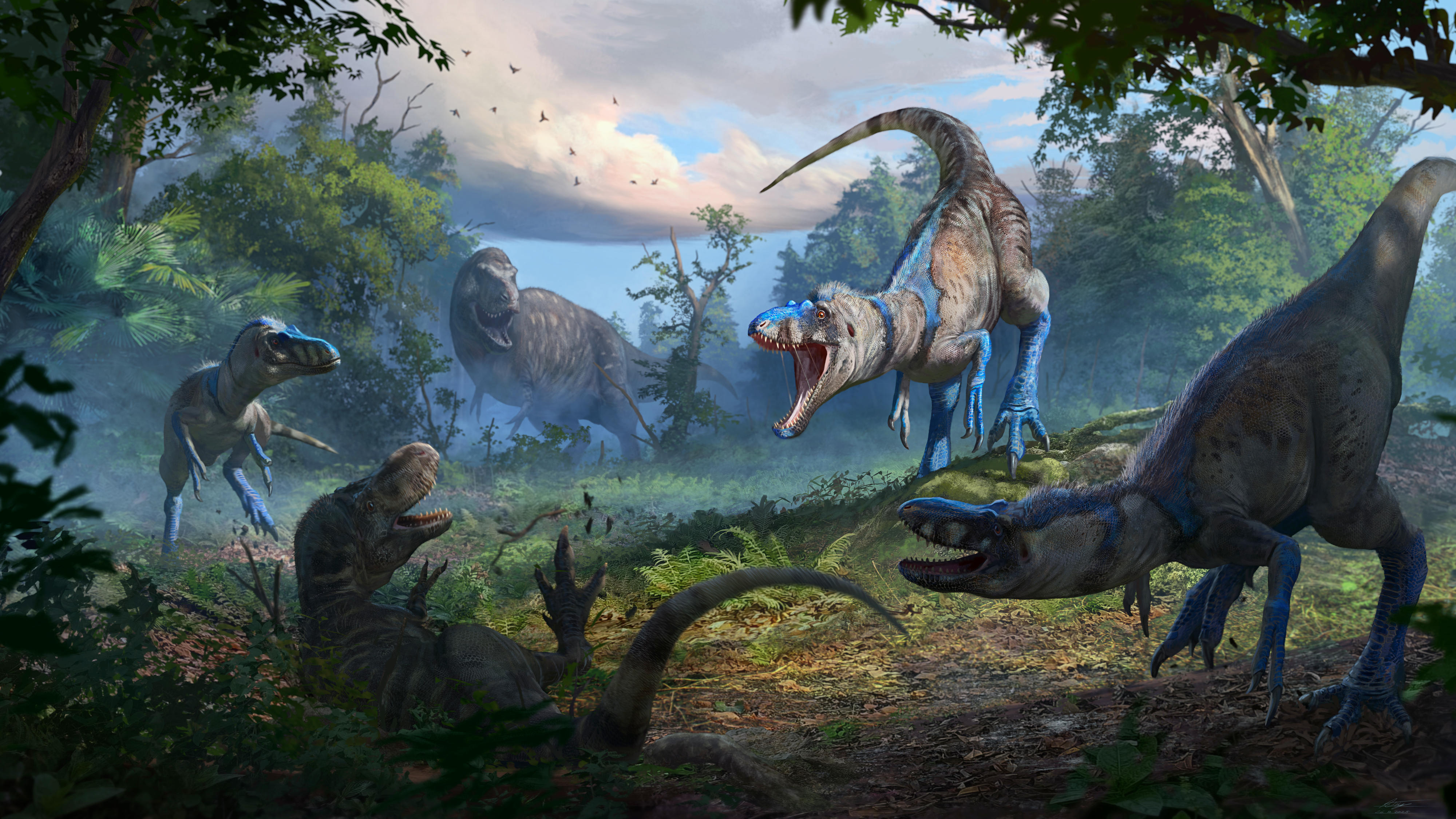 A pack of Nanotyrannus brazenly attacks a juvenile T. rex  Credit: Anthony Hutchings