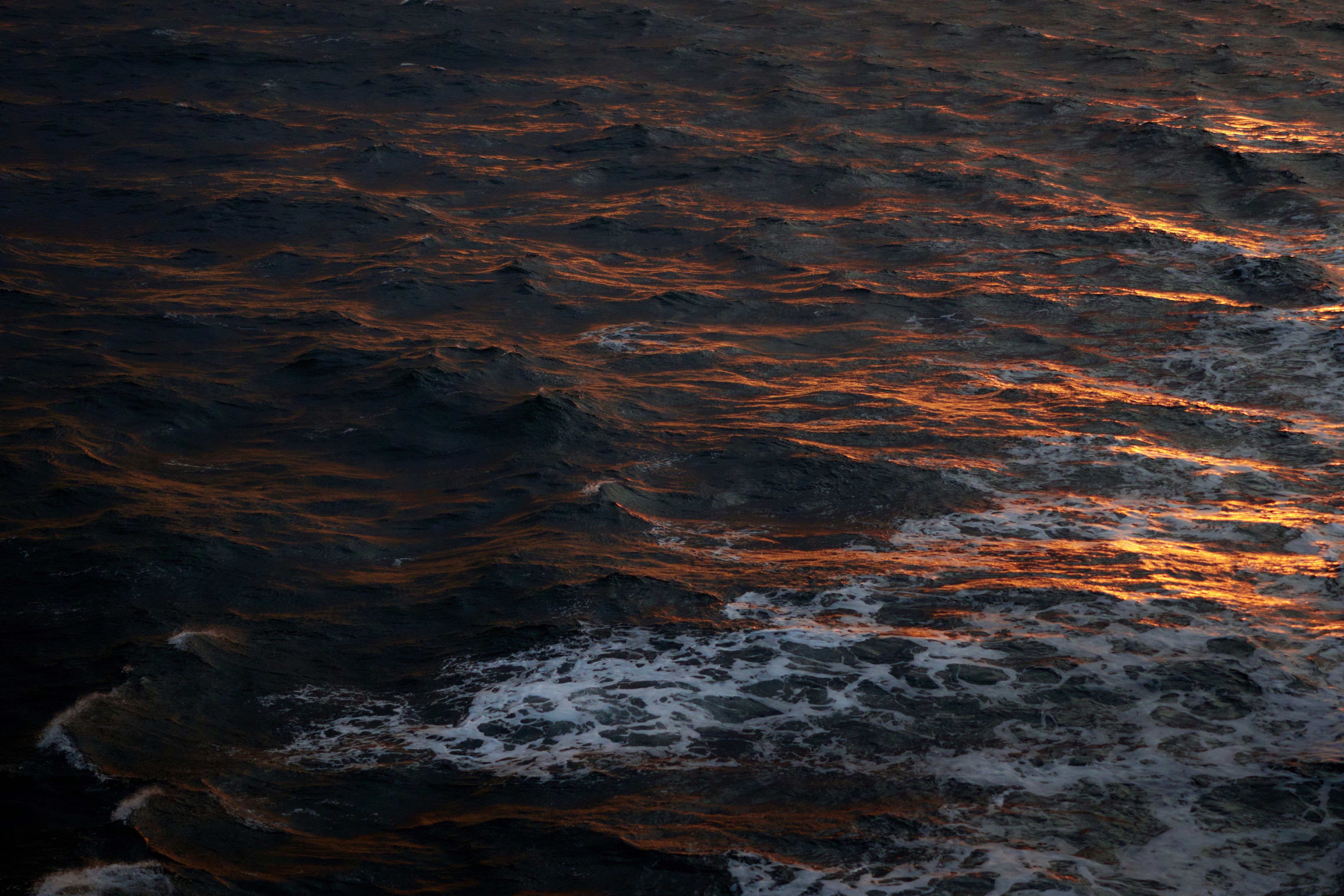 Photo by Buddy AN on Unsplash