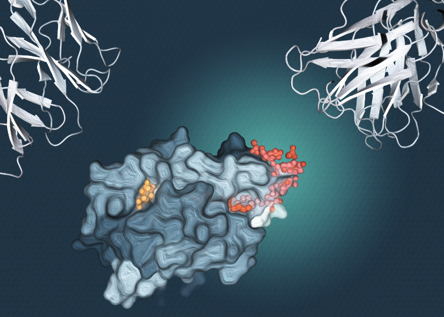 Thinh-Phat Cao, Monash University.