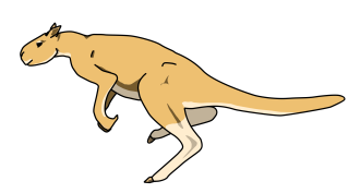 Sthenurine (short faced kangaroo) striding