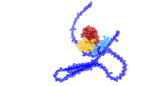 E3 Ligase