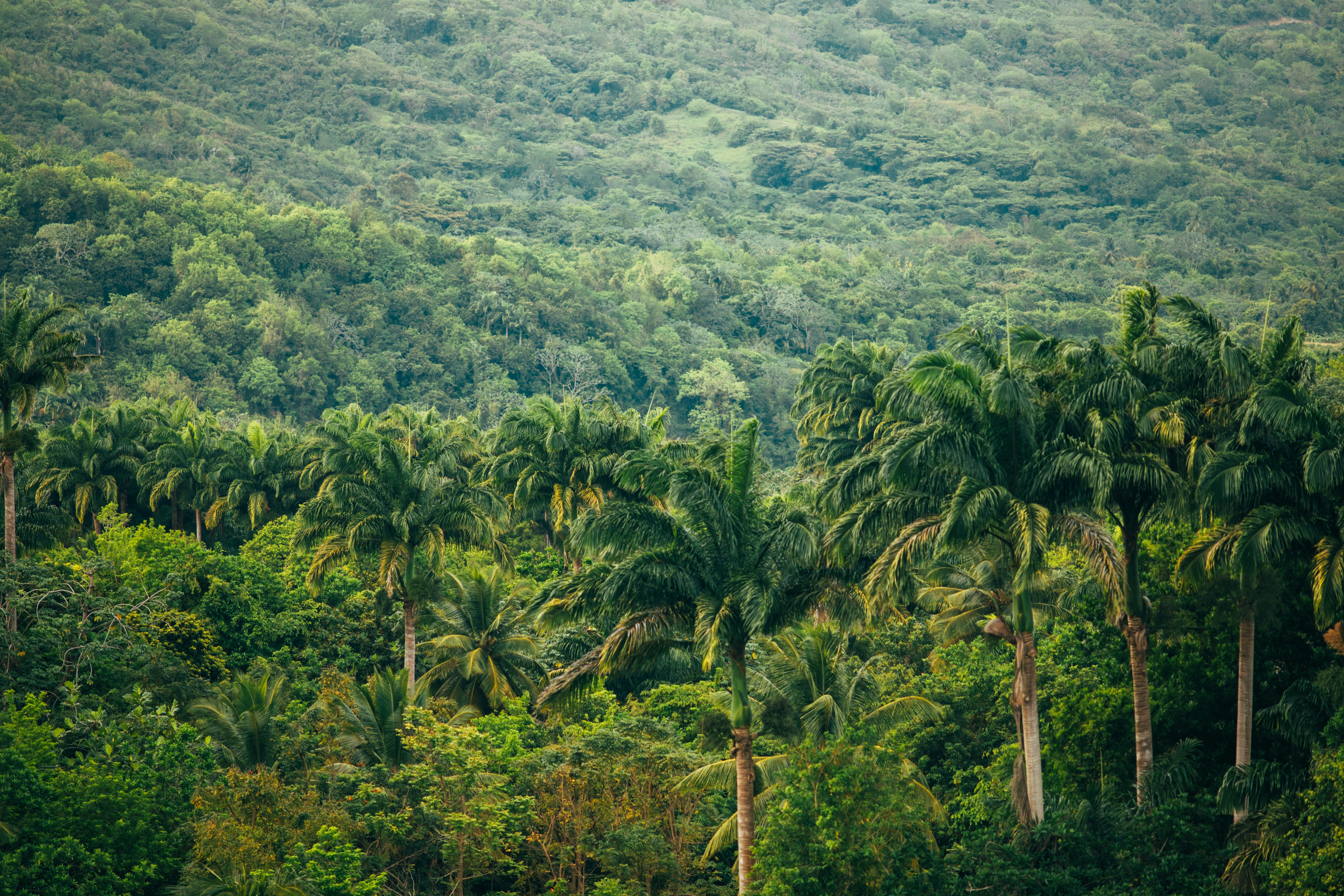 Photo by Levi Arnold on Unsplash