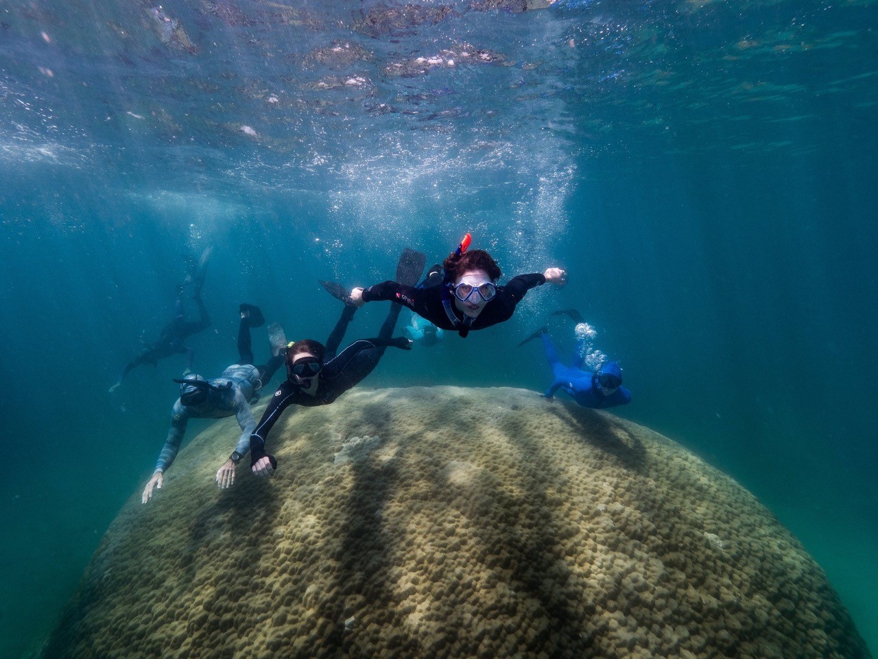 Scientists swimming over the top of the Porites coral at Goolboodi. Credit: Woody Spark.