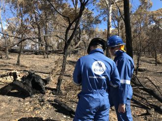 Justin and team assessing post-fire loss