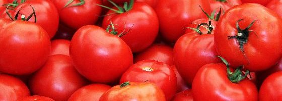 Tomatoes