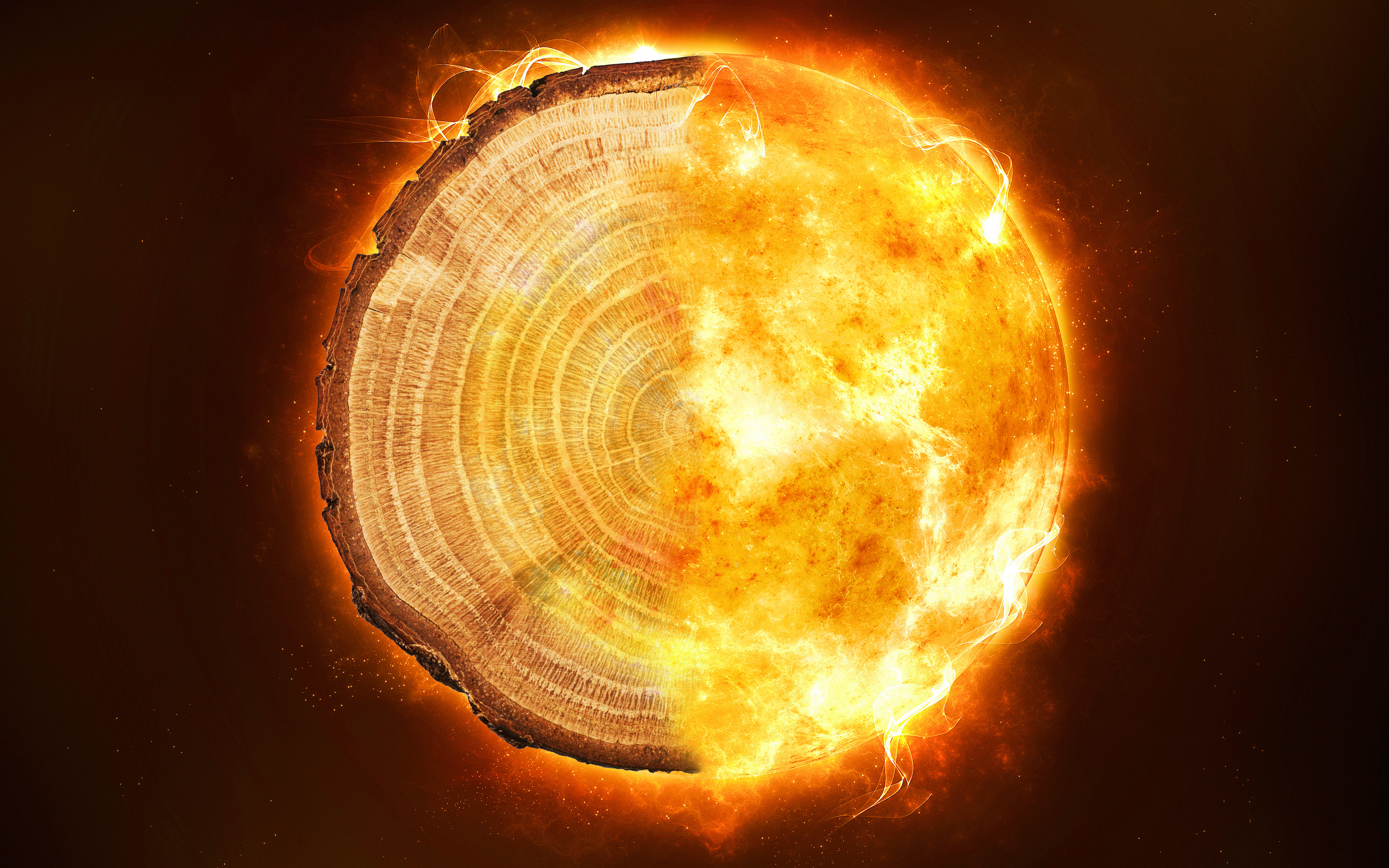 A composite image showing a tree ring and flames - UQ researchers used tree ring data to model the global carbon cycle to challenge the common theory about Miyake Events. Credit: The University of Queensland. 