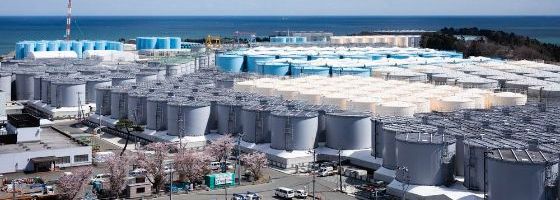 Image credit: Japanese Agency for Natural Resources and Energy https://www.enecho.meti.go.jp/about/special/shared/img/7bio3-2omcdors.jpg