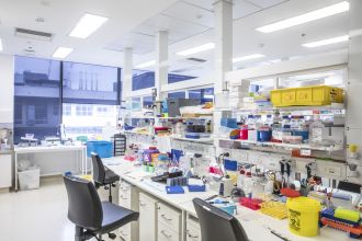 Scientists at The Florey have developed an mRNA technology approach to target the toxic protein tau, which builds up in patients with Alzheimer’s disease and other dementias. 