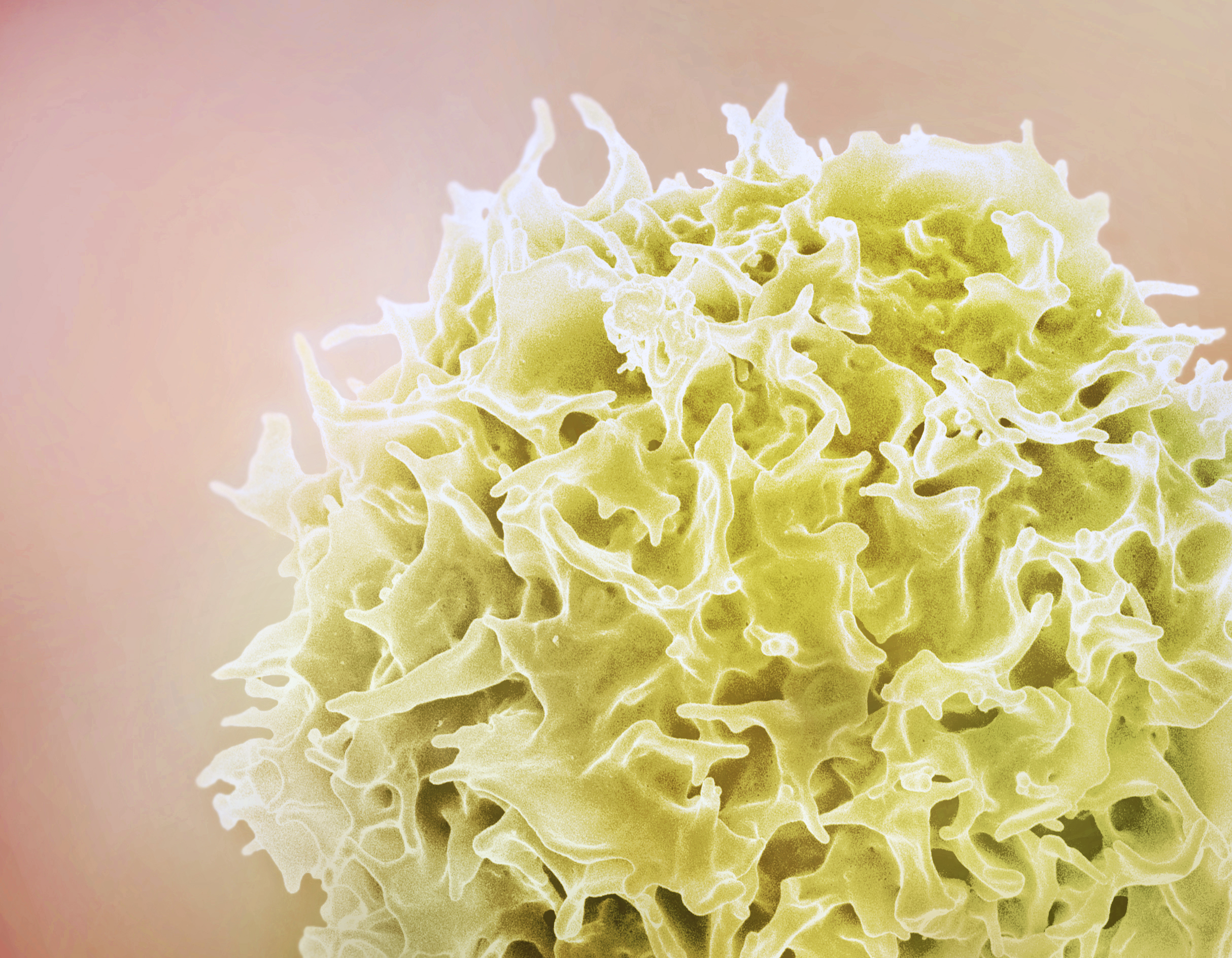 First treatments to prevent life-threatening virus infection identified