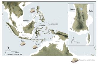 Sulawesi