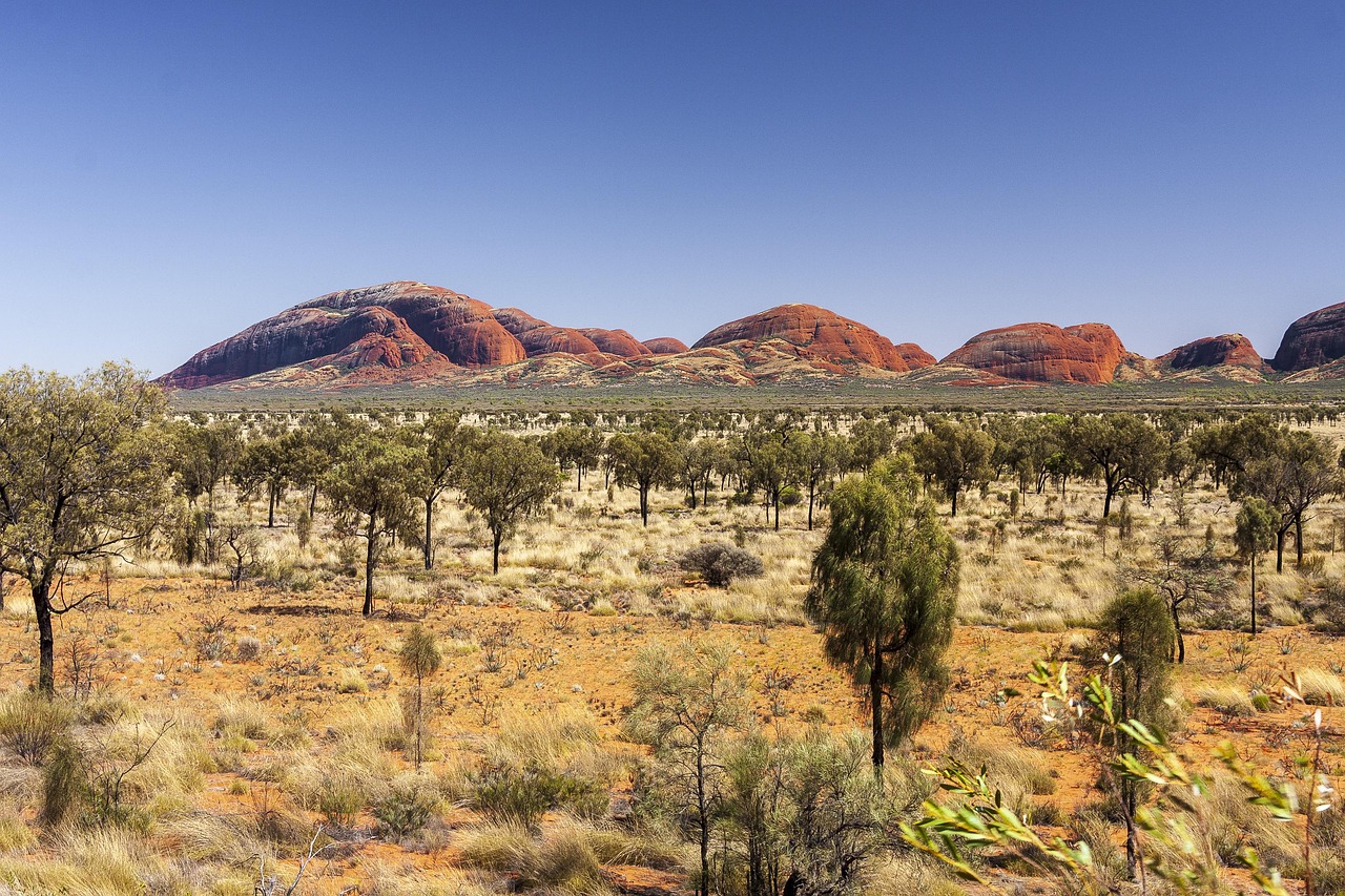 CC-0. https://pixabay.com/photos/australia-kata-tuita-5100611/