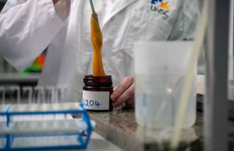 UniSC Honey Lab -researchers extract sample for analysis