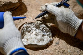 Dinosaur egg fossil sampled for geochronology. 