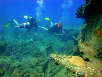 More than 70% of coral reefs in the tropical western Atlantic Ocean are expected to be in a state of erosion by 2040, increasing to nearly all reefs by the end of the century if global warming exceeds 2 °C above preindustrial levels. The international research team, including a New Zealander, looked at fossil reef deposits at more than 400 sites across the region to determine reef growth rates, which they then combined with sea-level rise estimates. The authors say their findings project a “bleak future” of these reefs not being able to limit the local effects of sea-level rise in a warming world, and say keeping emissions under 2 °C is critical.