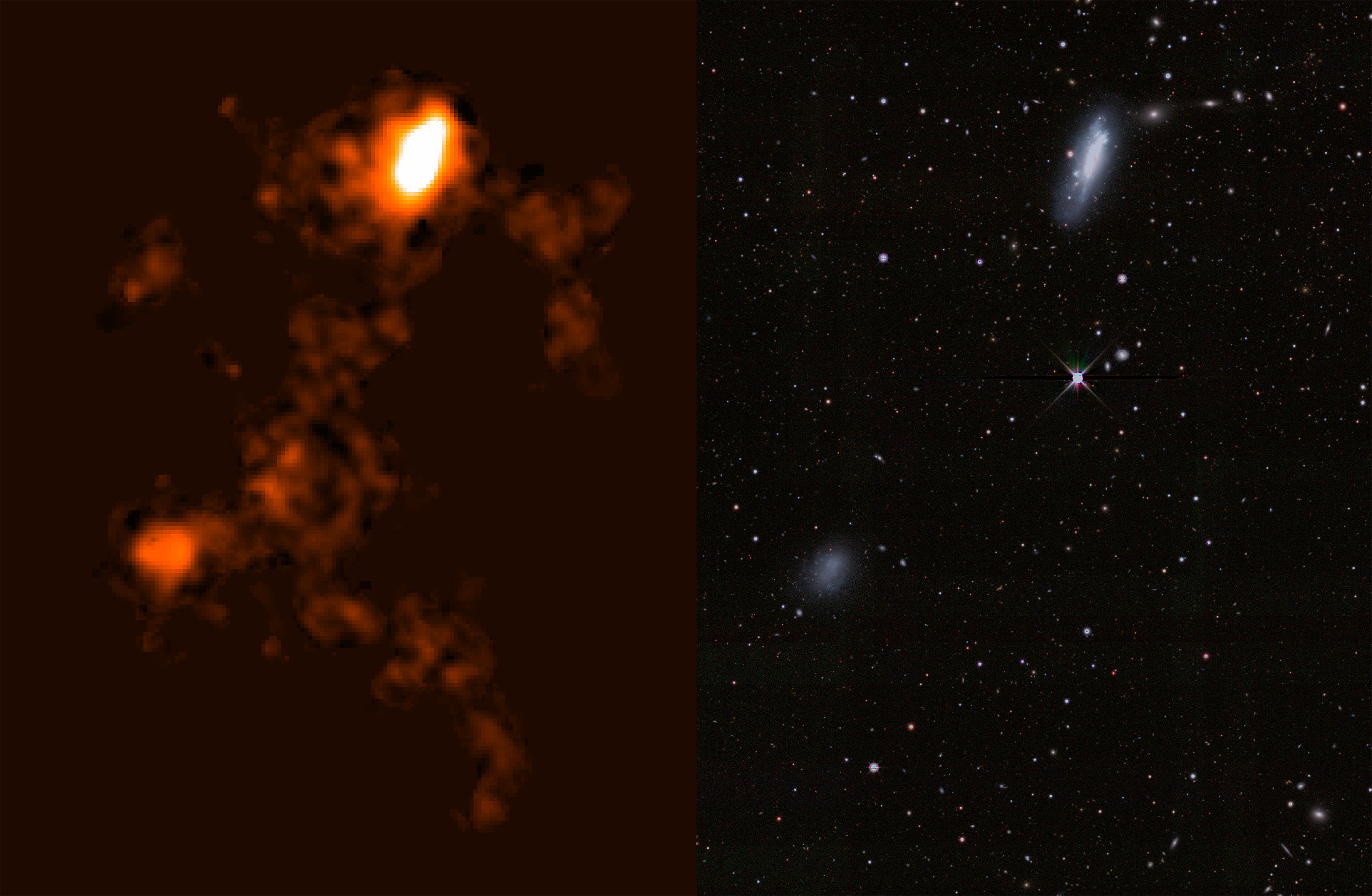 Caption: (Left) Radio galaxy image of neutral hydrogen in and around the NGC 4532 / DDO 137 using ASKAP. (RIGHT) an optical image of the galaxy from the Legacy Surveys.  Credit: ICRAR and D.Lang (Perimeter Institute).