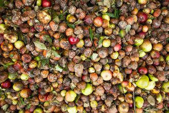 Globally, the average person wastes around 132 kg of food per year, and this number is rising, according to US scientists. They say the most wasteful among us live in wealthier countries, but urbanisation and economic expansion mean less affluent nations are catching up quickly. Global food waste - food discarded by consumers or by food service and retail establishments - rose by around a quarter between 2004 and 2014, they say. The rising waste in low- and middle-income countries risks locking in the unsustainable consumption patterns seen in wealthy countries, with serious implications for food security, public health and the environment, they warn. Curbing food waste requires new policies and structural initiatives, they argue, such as incentivising supermarkets and restaurants to donate food and educating consumers to promote smarter purchasing and better food storage practices.