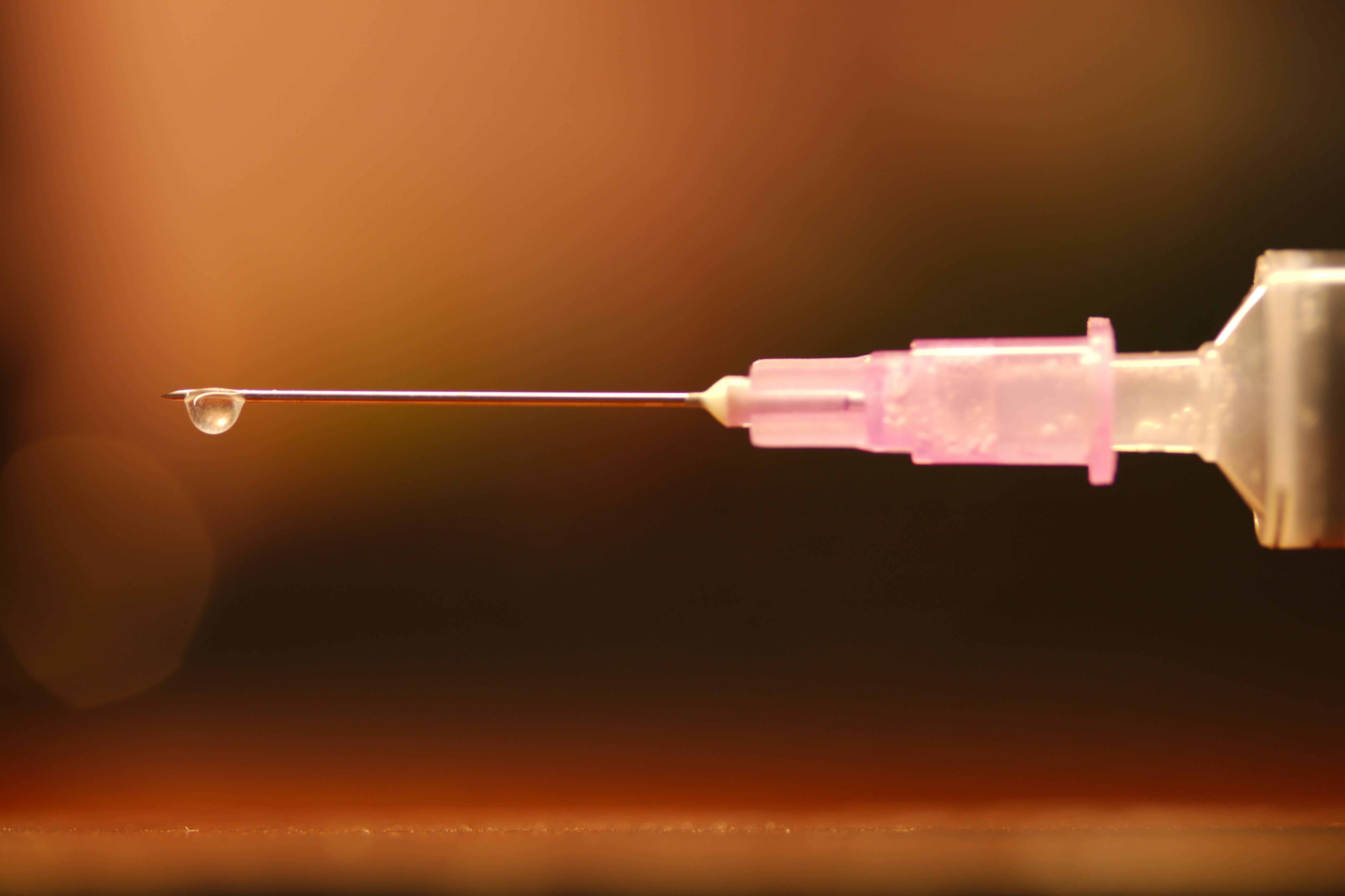 PHOTO: Raghavendra V. Konkathi on Unsplash