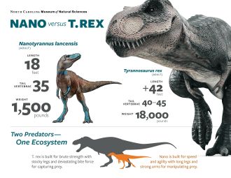 T. Rex vs Nanotyrannus