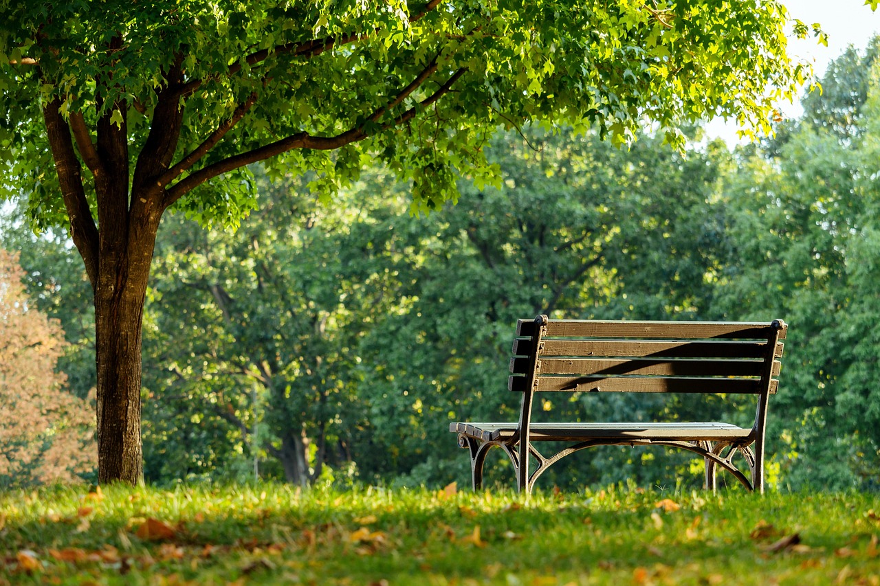 CC-0. https://pixabay.com/photos/bench-park-trees-grass-garden-8260158/