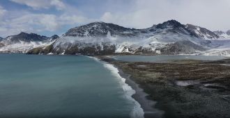 The elephant seal colony at St Andrew's Bay, South Georgia