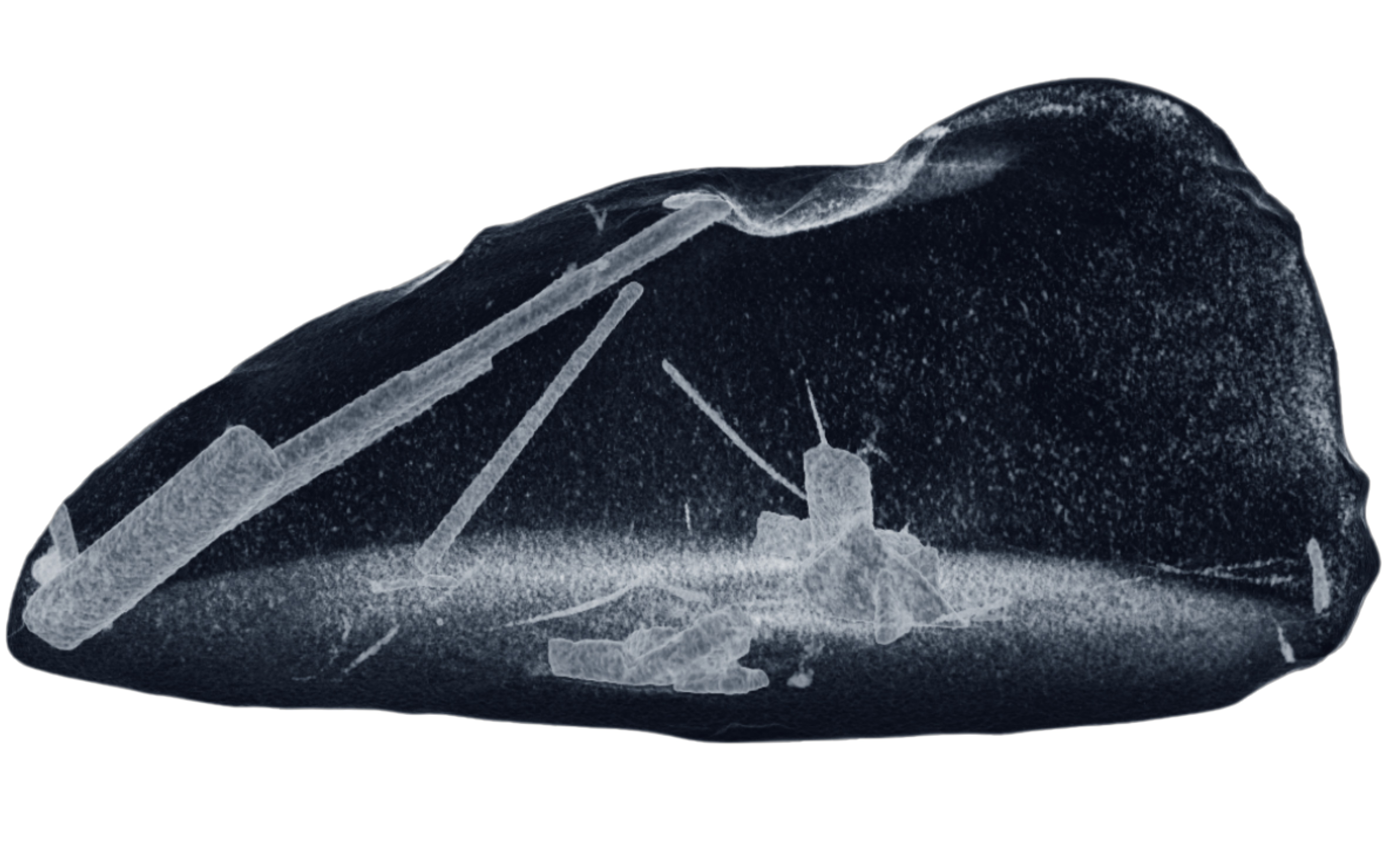 Image of rods of platinum crystals in a droplet of liquid metal. Credit: Widjajana et al. 