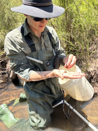 Jake Daviot counting and measuring Carter’s freshwater mussels