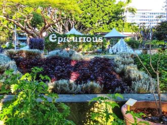 A study from Murdoch University shows the benefit of offering fresh food as a public service — exploring Brisbane's Epicurious Garden as a template other governments' could adopt.