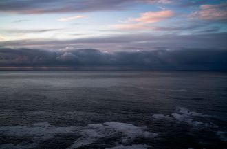 Going back through archived DNA from water samples, scientists have found that the species chiefly responsible for South Australia’s persistent harmful algal bloom has been present for at least a decade.