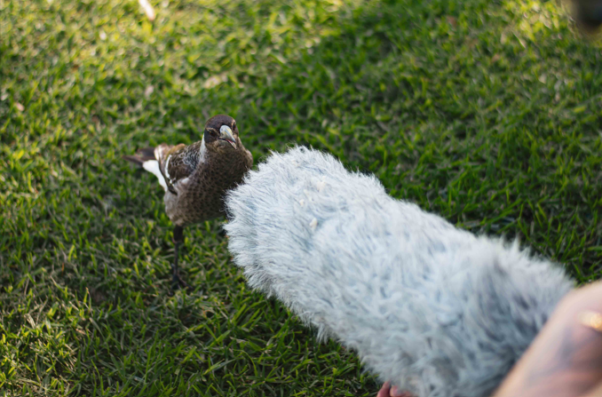 Credit: Andrew Leslie