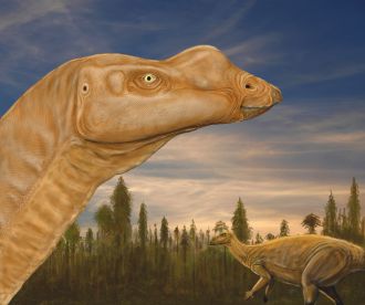 Muttaburrasaurus langdoni reconstruction