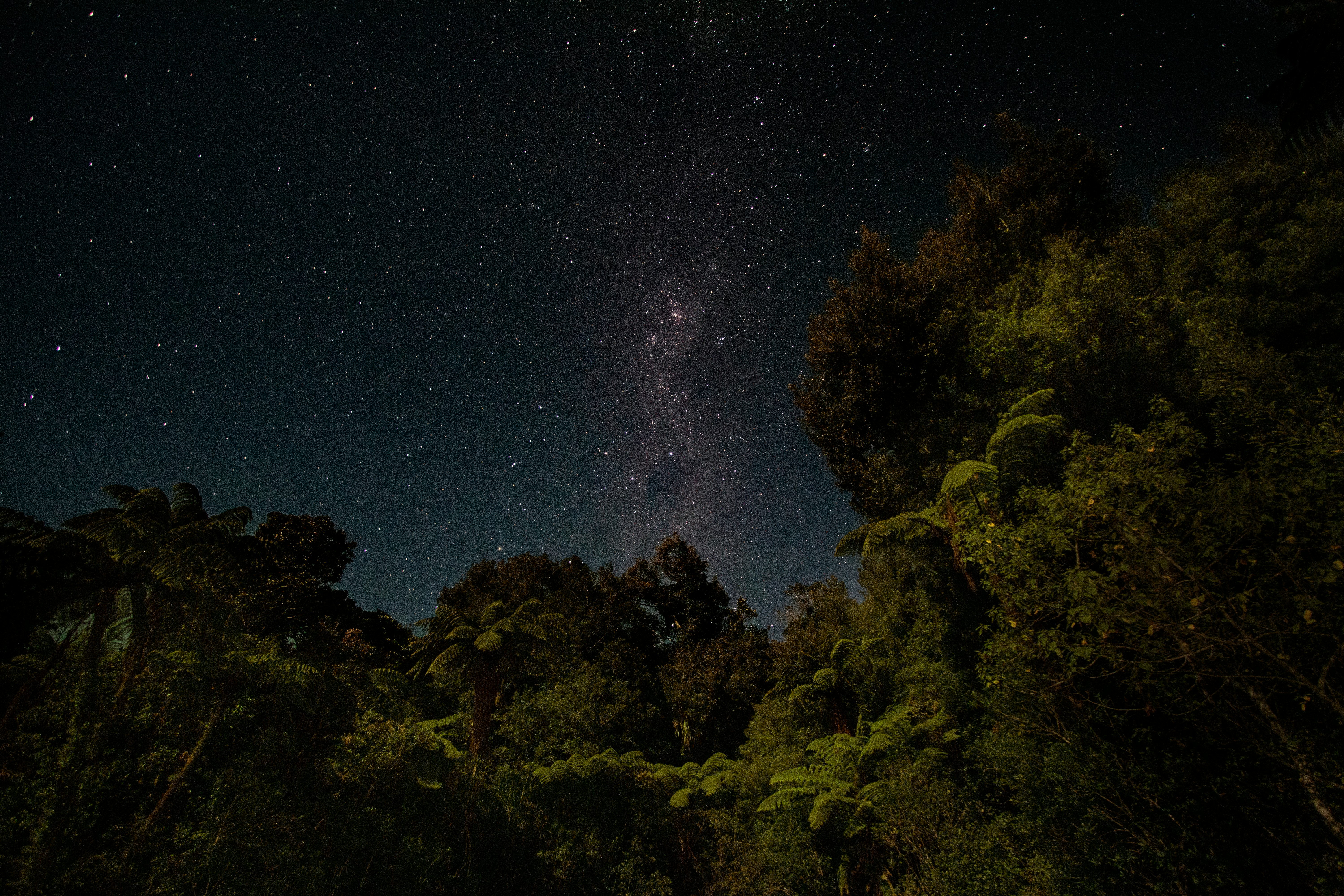 Photo by Callum Hill on Unsplash