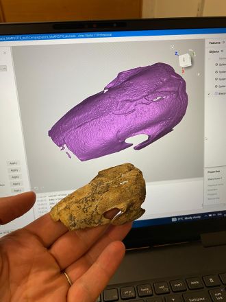 3D model