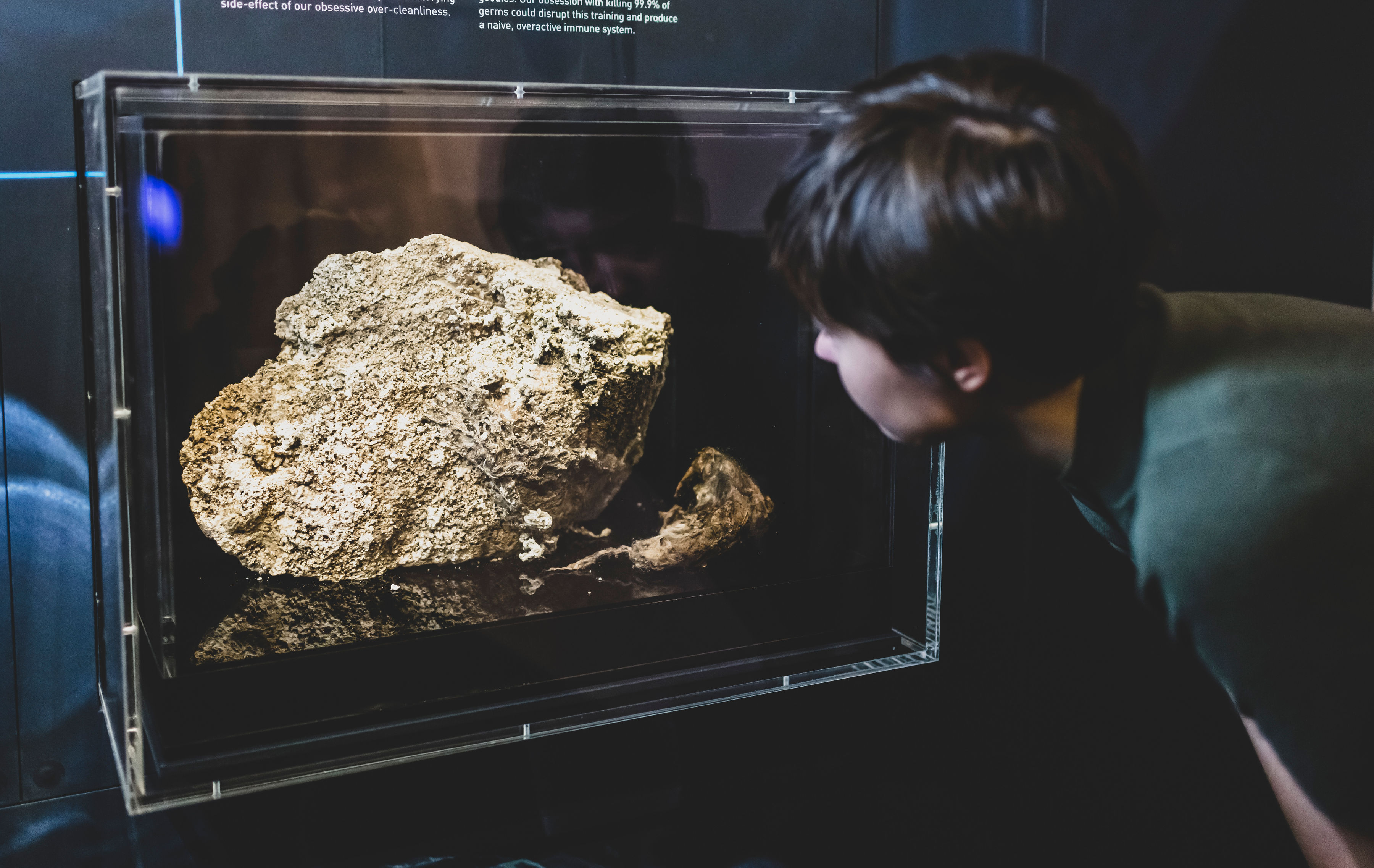 Image of a fatberg on display in the Melbourne Museum. Credit: Copyright Museums Victoria, Photographer: Rob Zugaro