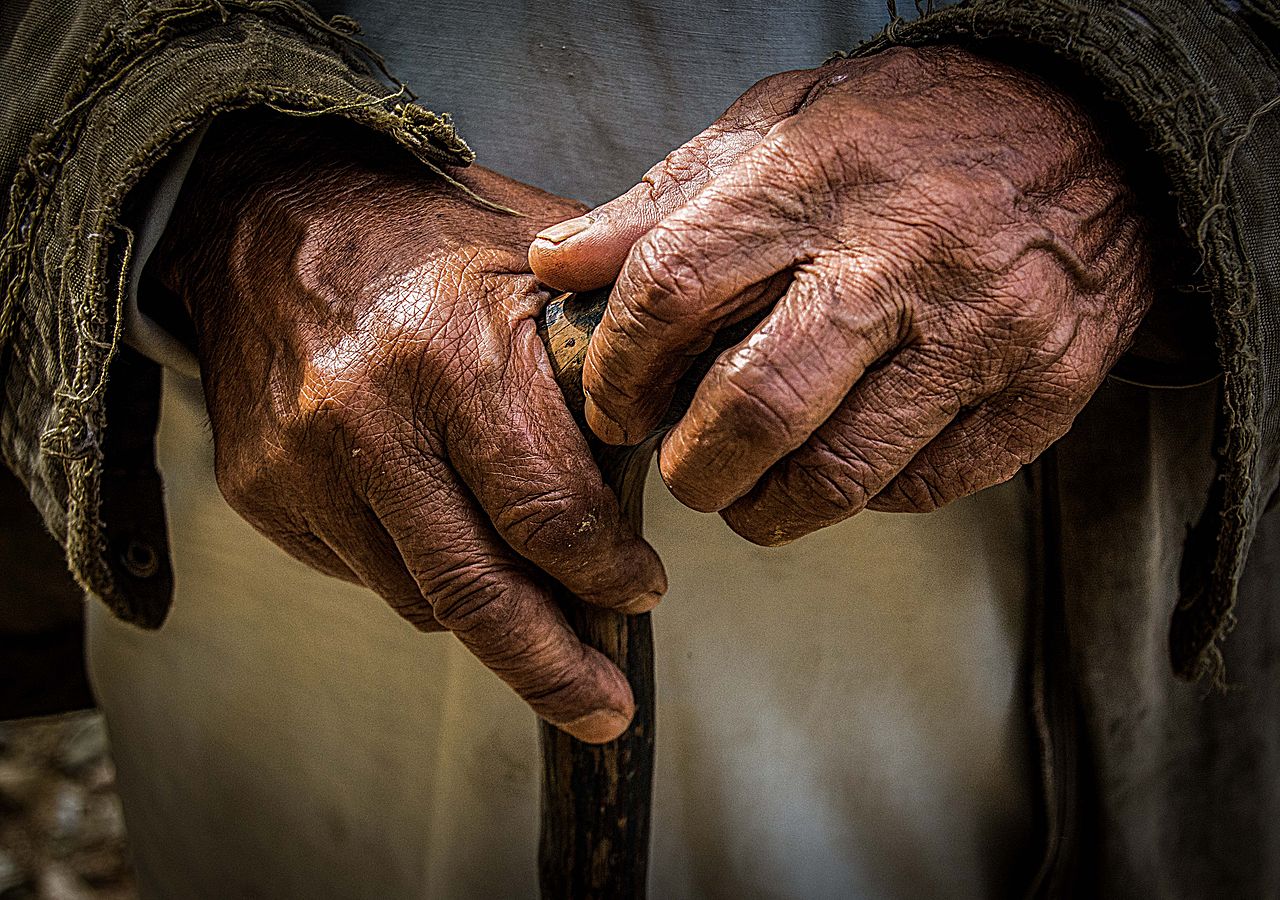 Old_Hands By Sharada Prasad CS from Berkeley, India - Old Hands, CC BY 2.0