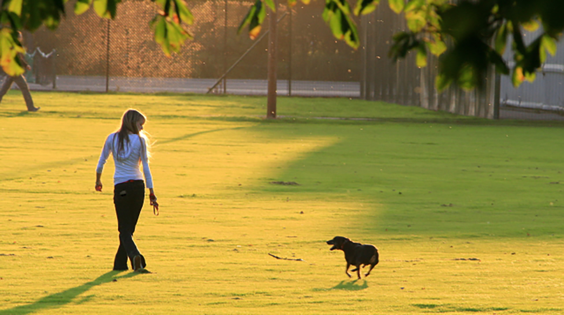 Socializing and Nature Boost Mental Health by 10 Points