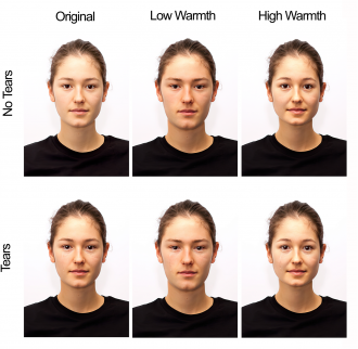 Overview of main manipulation of face warmth as based on walker et al. (2018) 