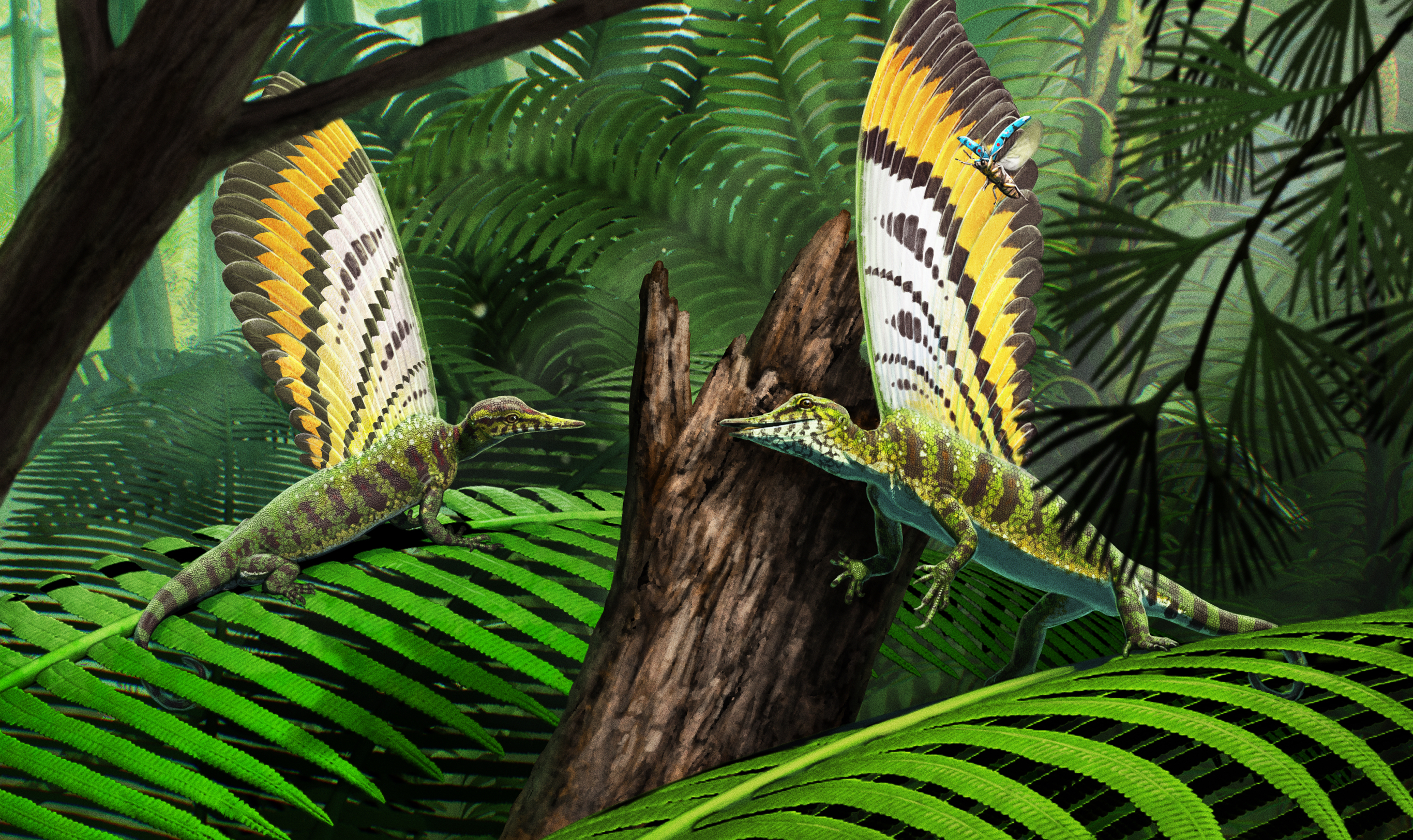  Reconstruction and illustration of Mirasaura in its natural forested environment, hunting insects. Copyright notice: Gabriel Ugueto