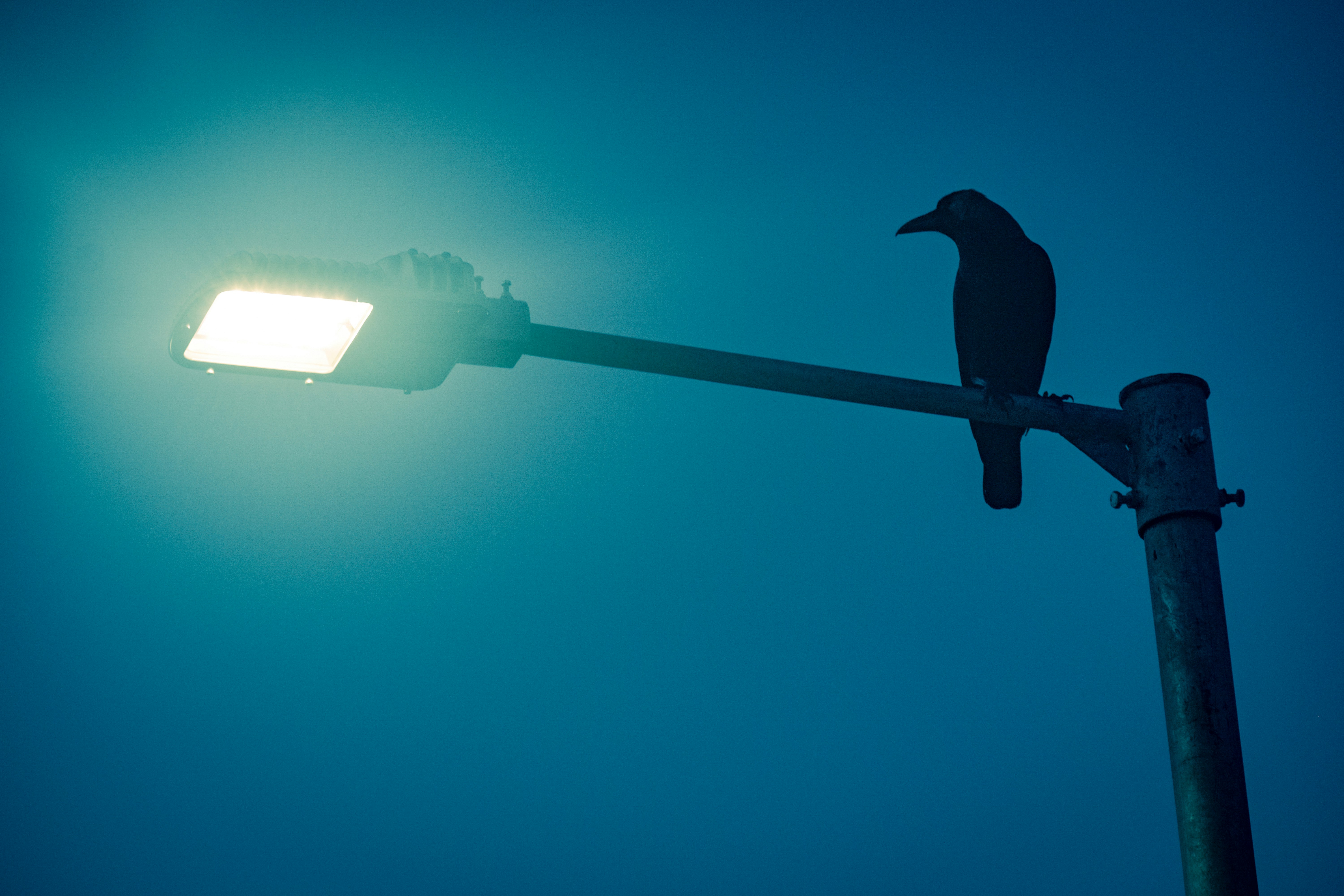 Photo by Dr. Yogesh Namdev on Unsplash